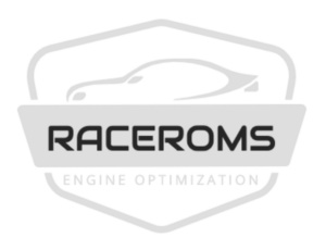 RACEROMS